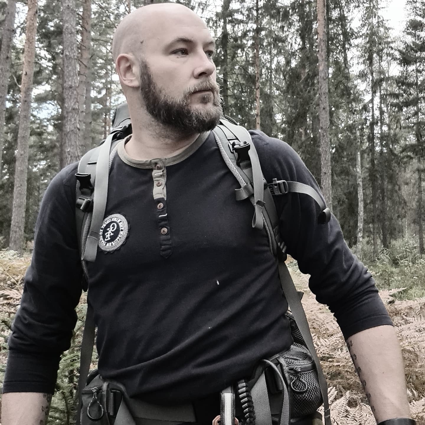 Into the Forest I Go